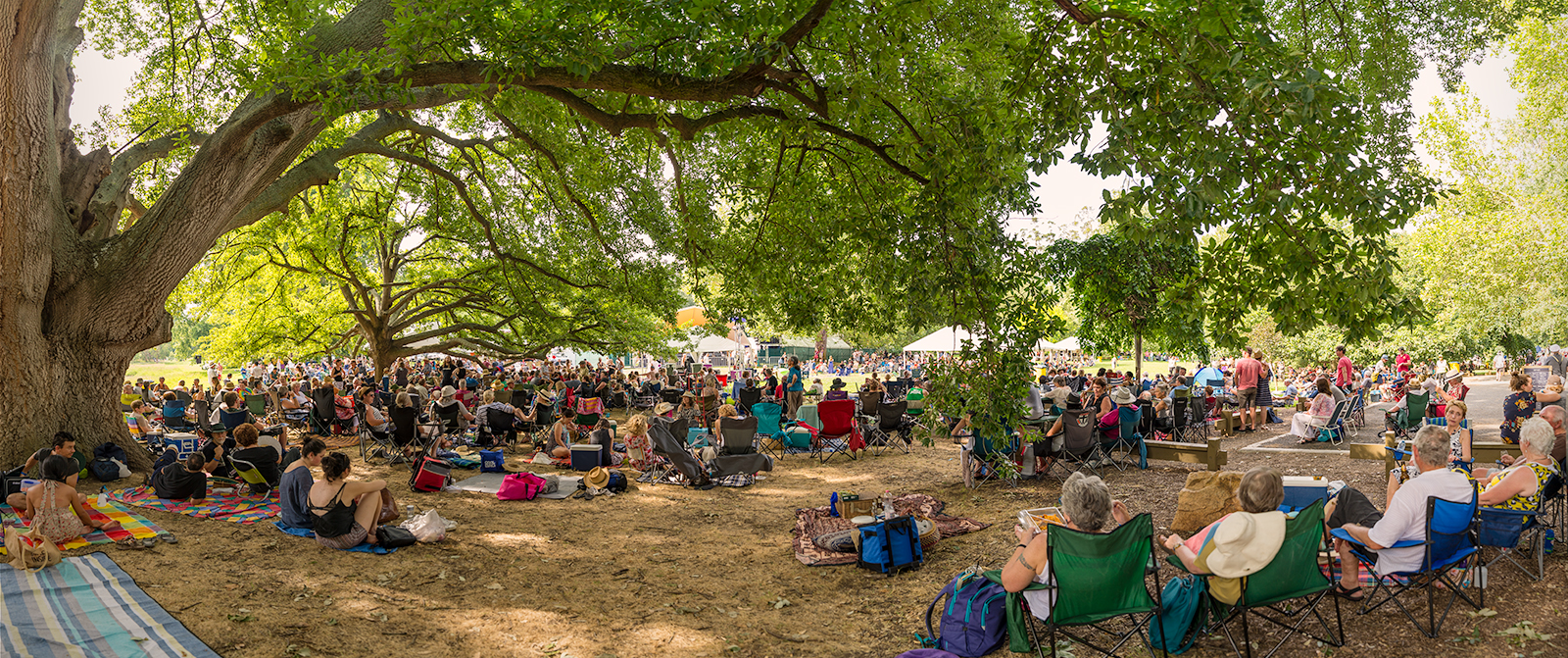 Community gathering under a large tree at a Southern Highlands park