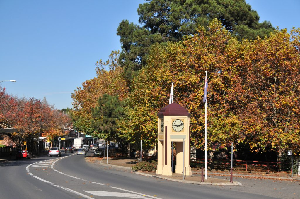 Main street clock tower framed by autumn trees